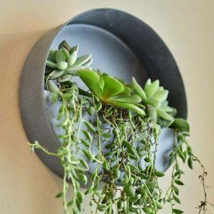 NEW Wall Planters Pots GALVANIZED Hanging Indoor Outdoor FARMHOUSE Circle Metal